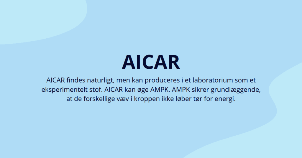 Alt du skal vide om AICAR i 2026